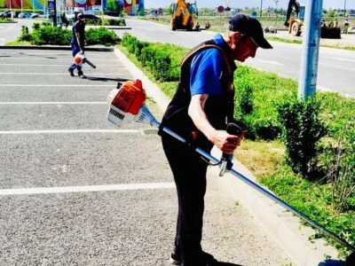 5 Motive Pentru Care Să Colaborezi cu HandyMan: Excelență în Întreținerea Spațiilor Verzi