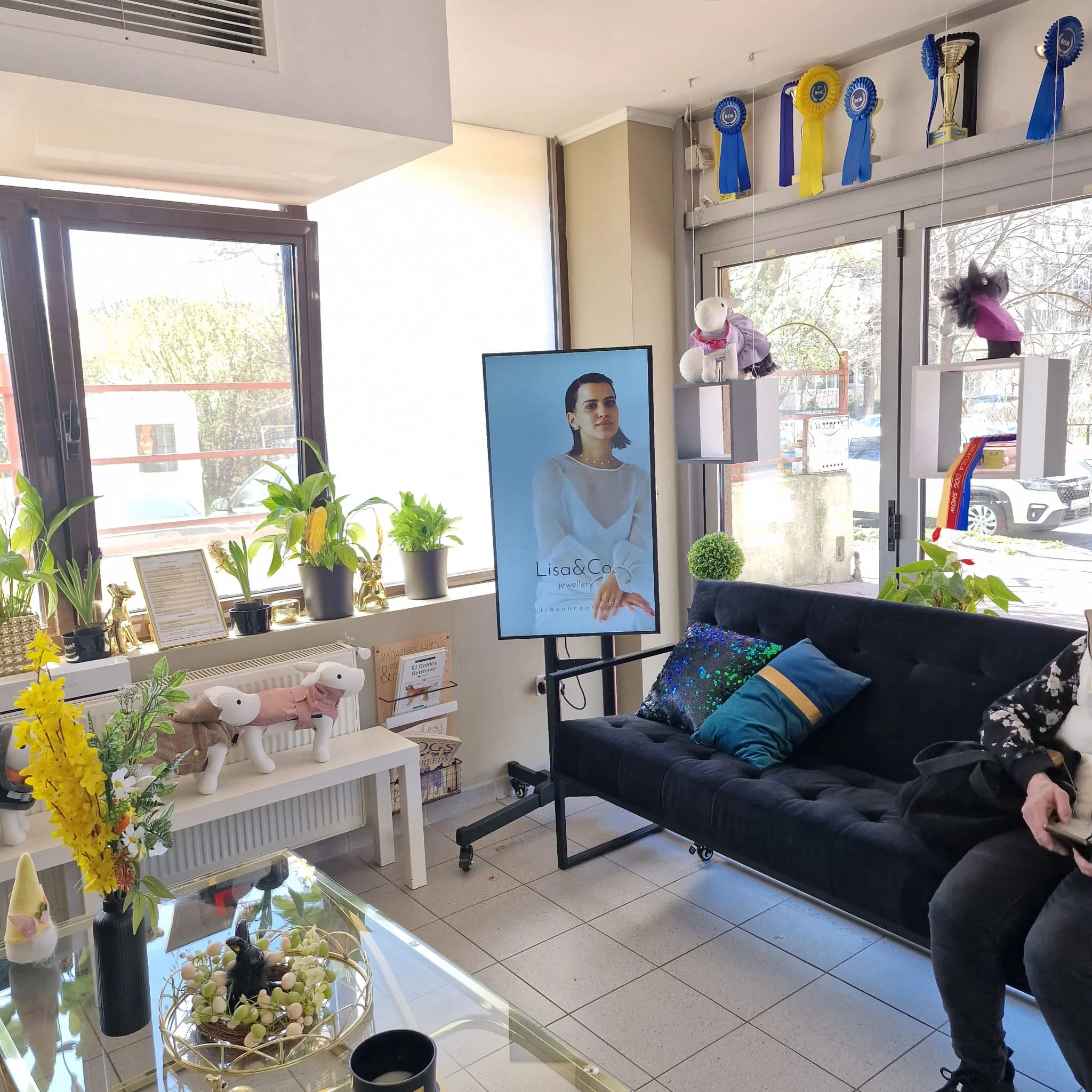 Lăbuțe Fericite Grooming