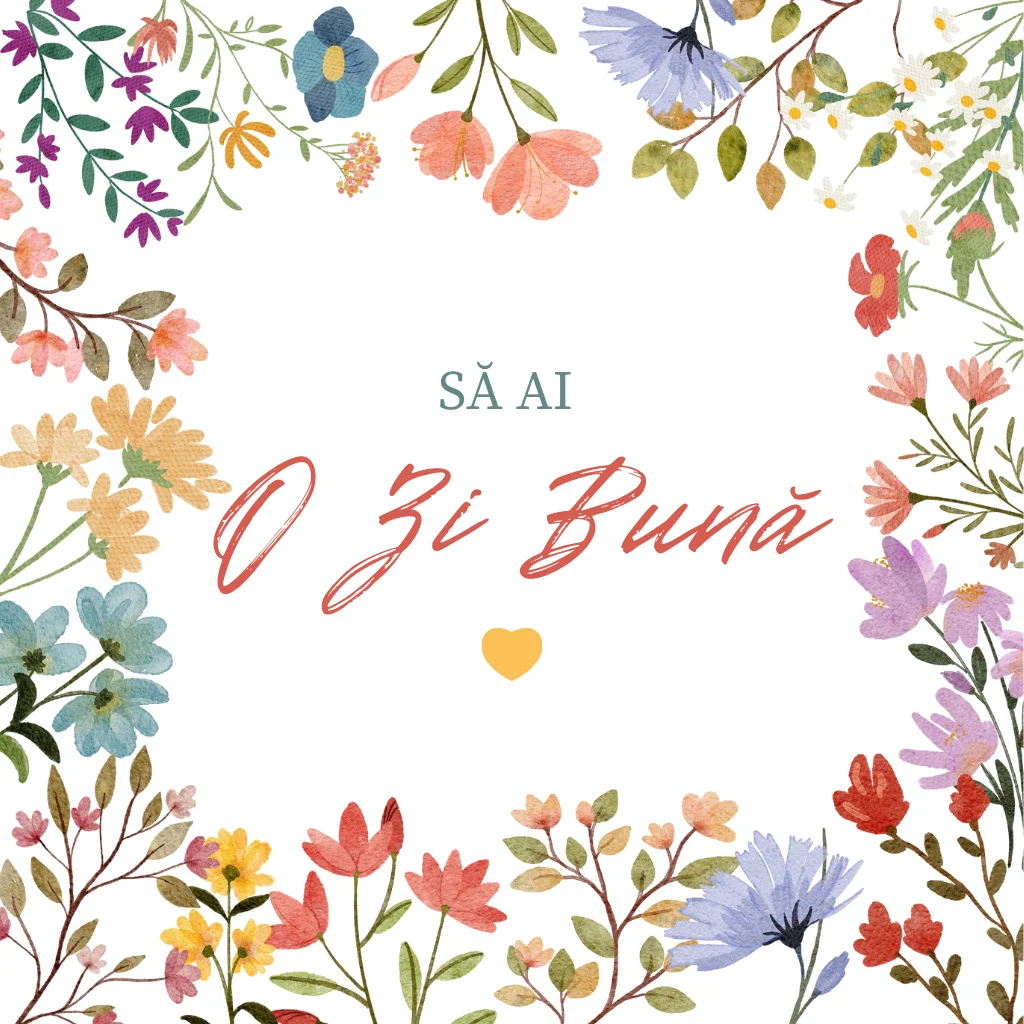 O Zi Bună — EkoGroup