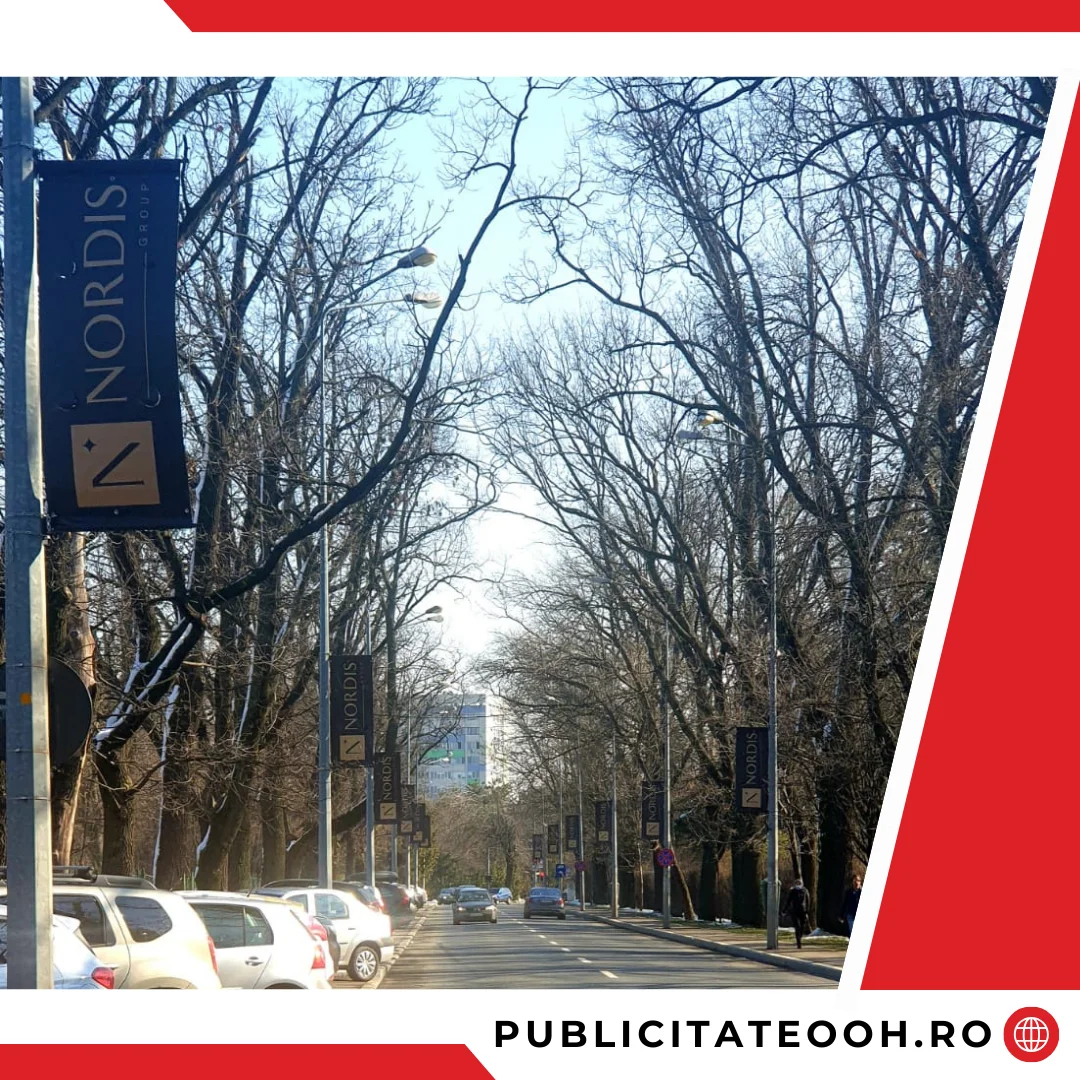 Steaguri Publicitate OOH 2