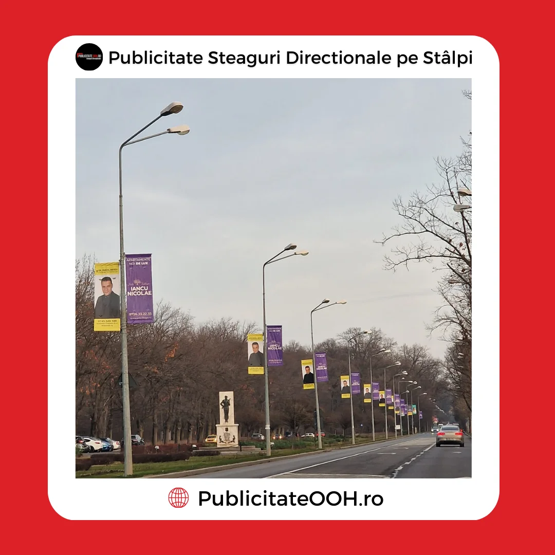 Steaguri Publicitate OOH 4