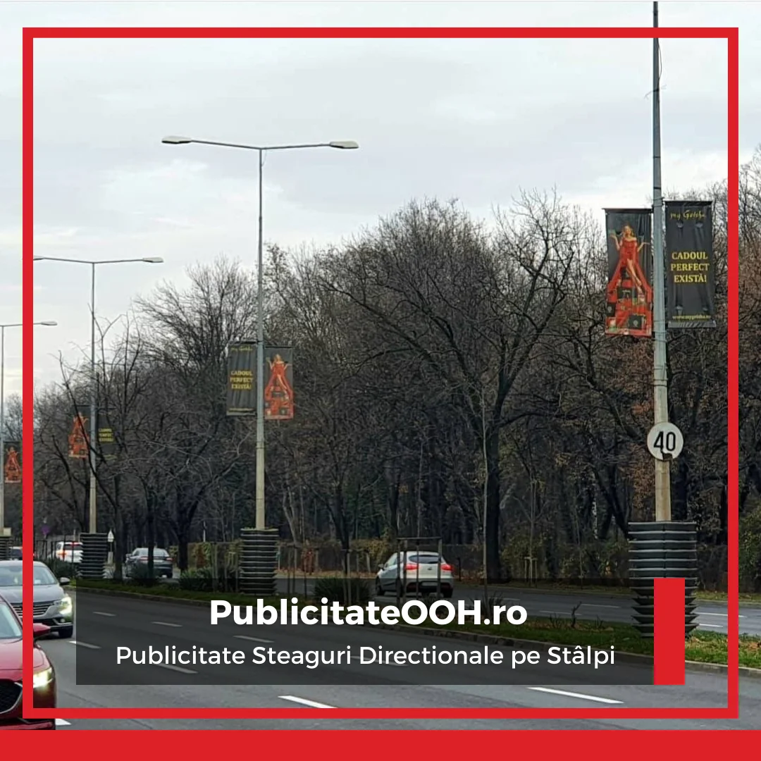 Steaguri Publicitate OOH 8